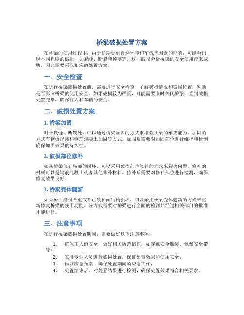 桥梁破损处置方案