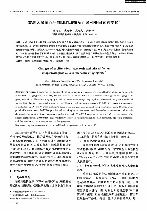 衰老大鼠睾丸生精细胞增殖凋亡及相关因素的变化