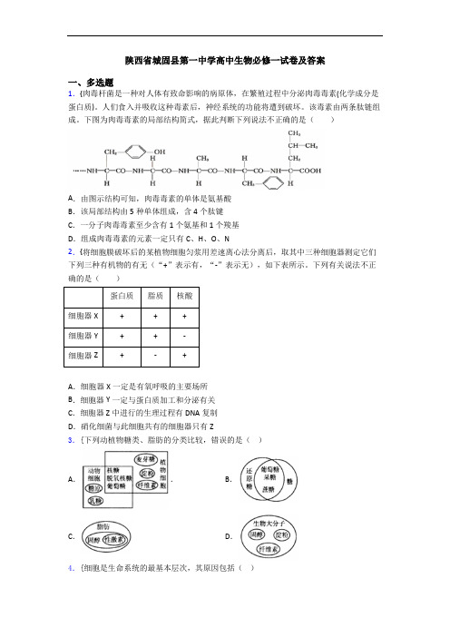 陕西省城固县第一中学高中生物必修一试卷及答案