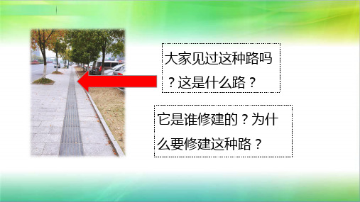 统编人教部编版小学五年级下册道德与法治《我们的公共生活》第二课时课件