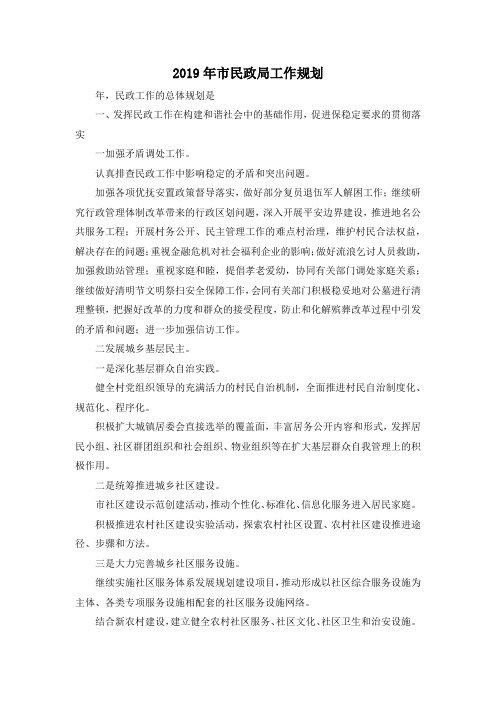 最新-2019年市民政局工作规划 精品