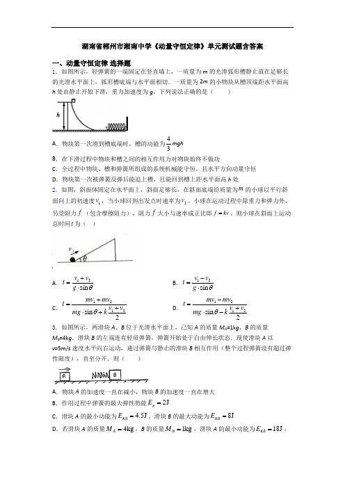 湖南省郴州市湘南中学《动量守恒定律》单元测试题含答案