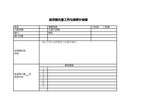 试用期月度工作与培养计划表