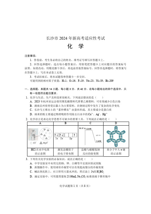 2024届湖南长沙高三新高考适应性考试化学试题及参考答案