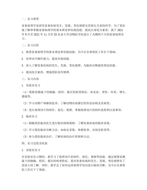 家畜病理_实习报告