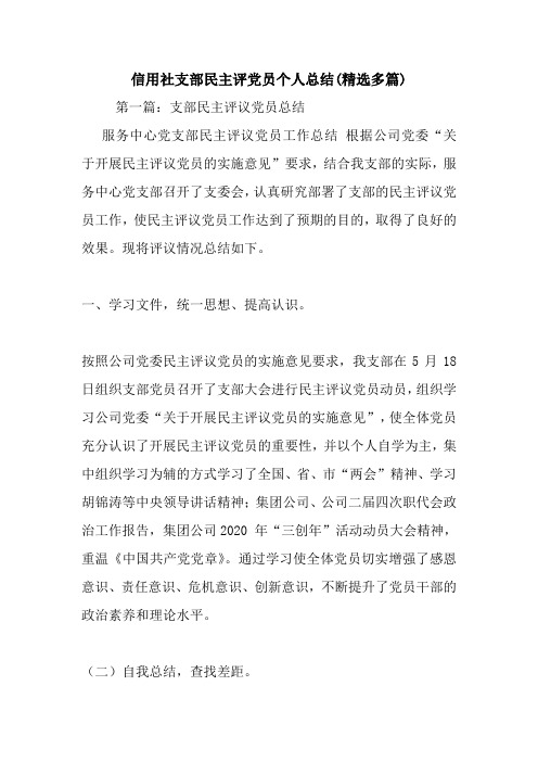 最新信用社支部民主评党员个人总结(精选多篇)