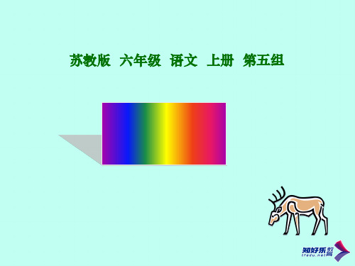 (苏教版)六年级语文上册 麋鹿 1PPT课件