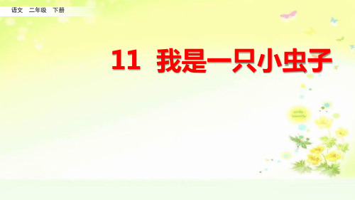 部编人教版二年级语文四单元我是一只小虫子PPT课件