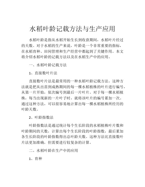 水稻叶龄记载方法与生产应用