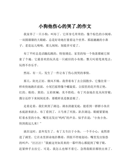 小狗他伤心的哭了,的作文