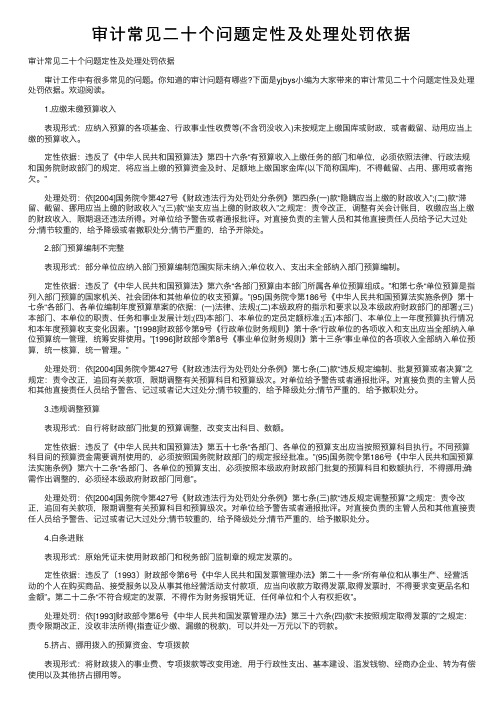 审计常见二十个问题定性及处理处罚依据