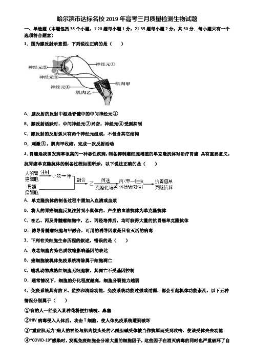 哈尔滨市达标名校2019年高考三月质量检测生物试题含解析