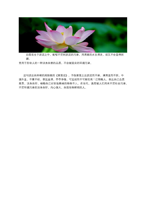 出污泥而不染濯清涟而不妖的意思