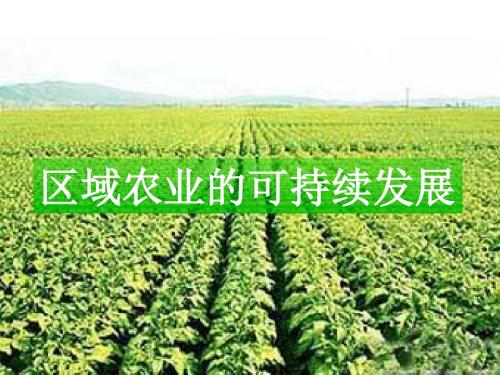 【高中地理】区域农业的可持续发展ppt1