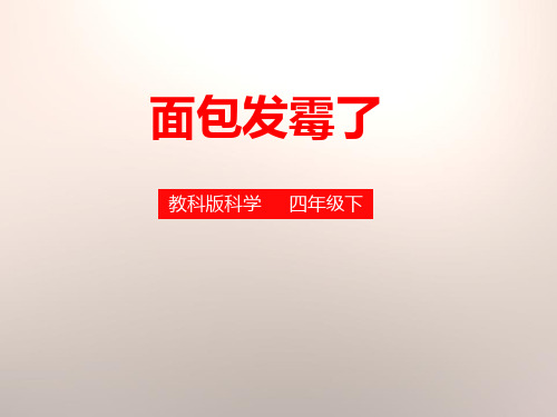 教科版四年级下册科学《面包发霉了》食物说课教学课件