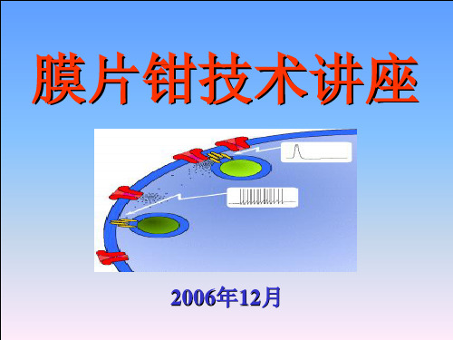 膜片钳技术