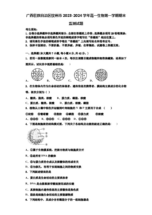 广西壮族自治区钦州市2023-2024学年高一生物第一学期期末监测试题含解析