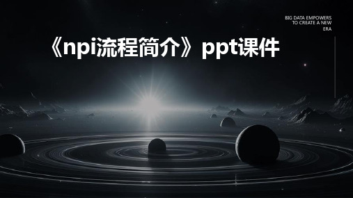 《NPI流程简介》课件