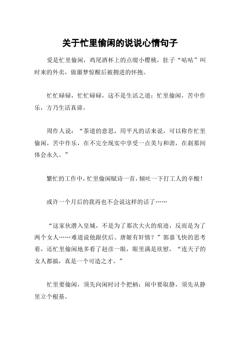 关于忙里偷闲的说说心情句子