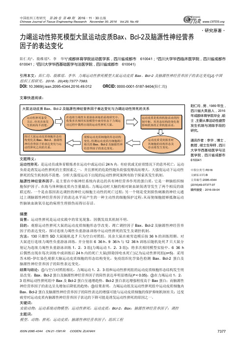 力竭运动性猝死模型大鼠运动皮质Bax、Bcl-2及脑源性神经营养因子的表达变化汇总