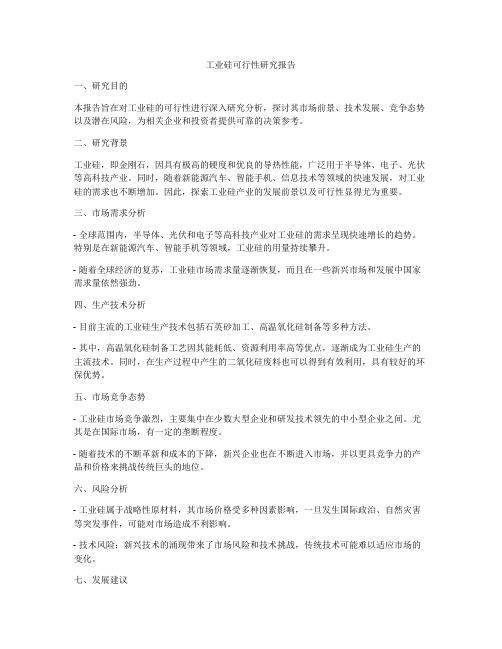 工业硅可行性研究报告