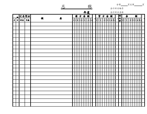 账本模板,总账,明细账,报表