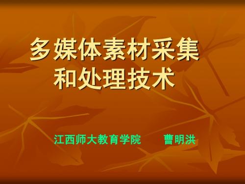 多媒体素材采集和处技术(1009上课).PPT