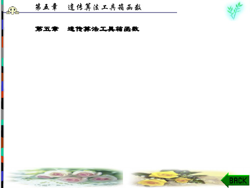 精品文档-MATLAB遗传算法工具箱及应用(第二版)雷英杰-第5章