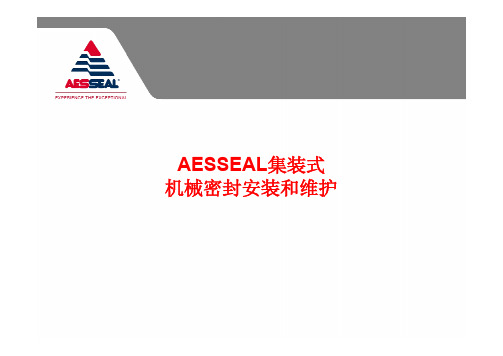 AESSEAL集装式机械密封安装与维护