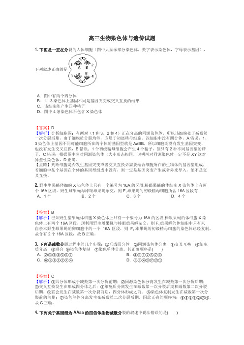 高三生物染色体与遗传试题
