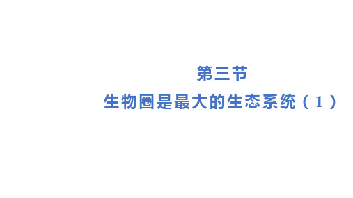 1.2.3 生物圈是最大的生态系统(1)课件2023-2024学年初中生物人教版七年级上册