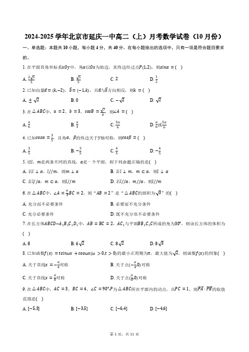 2024-2025学年北京市延庆一中高二(上)月考数学试卷(10月份)(含答案)