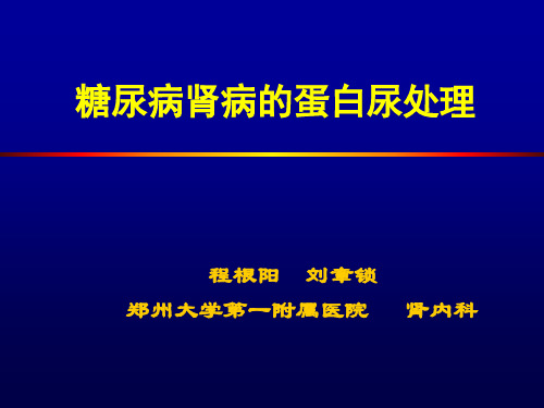 程根阳糖尿病肾病的蛋白尿处理