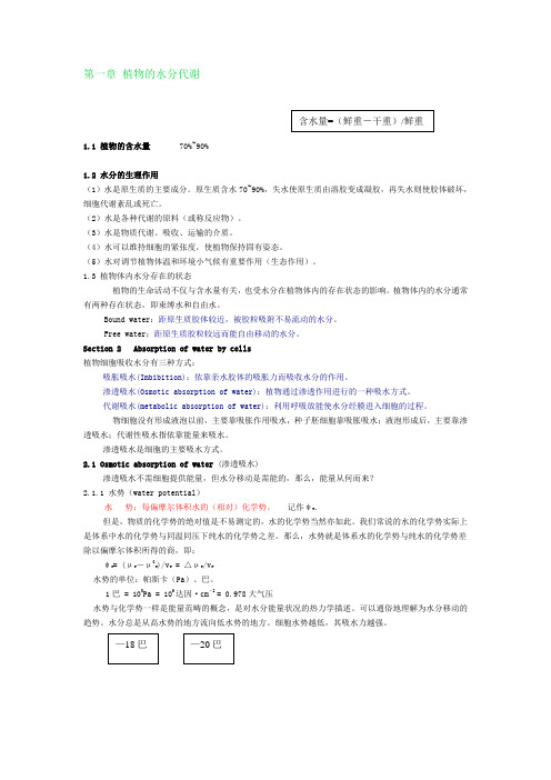 植物的水分代谢