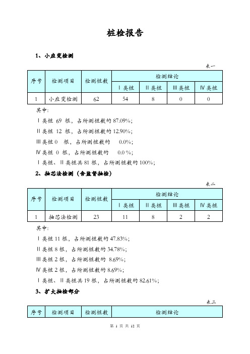 桩检报告