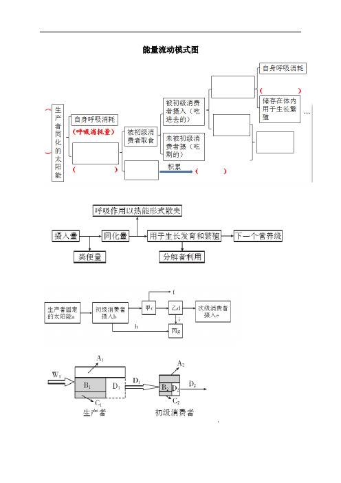 能量流动模式图核心知识点-浙江省湖州中学高三生物二轮复习