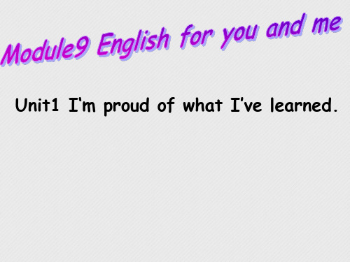 九年级英语下册 Module 9 English for you and me课件 外研版