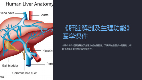 《肝脏解剖及生理功能》医学课件