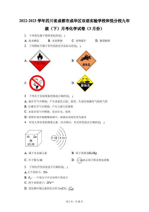 2022-2023学年四川省成都市成华区双语实验学校和悦分校九年级(下)月考化学试卷(附答案详解)