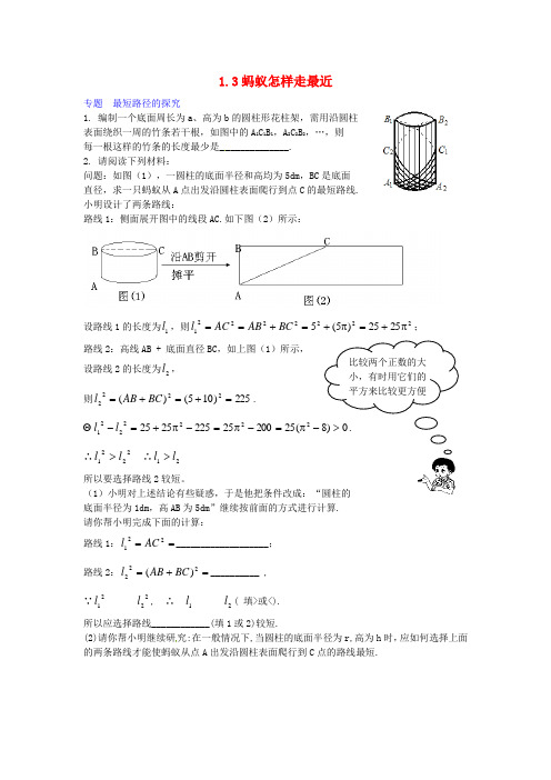 北师大版数学八年级上册1.3《蚂蚁怎样走最近》练习