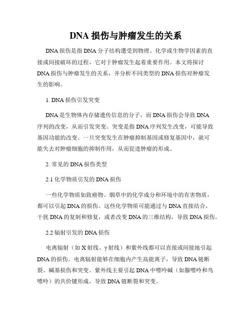 DNA损伤与肿瘤发生的关系