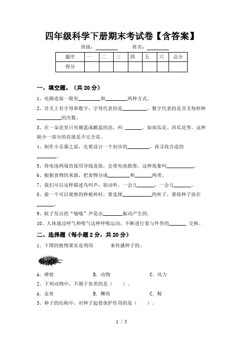 四年级科学下册期末考试卷【含答案】