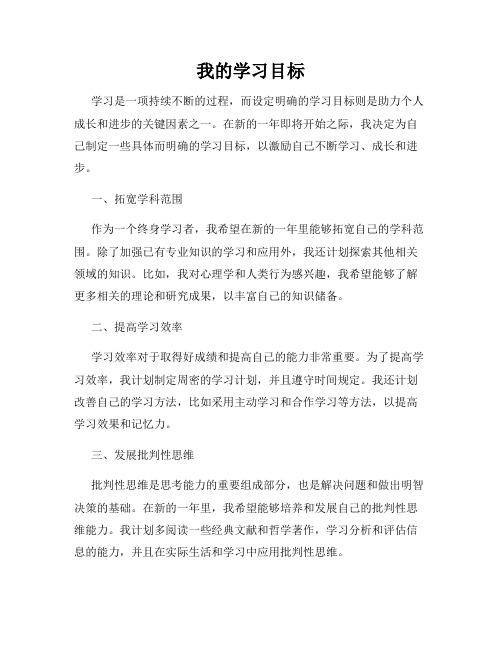 我的学习目标