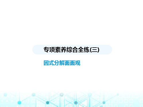 华东师大版初中八年级数学上册专项素养综合练(三)因式分解面面观课件