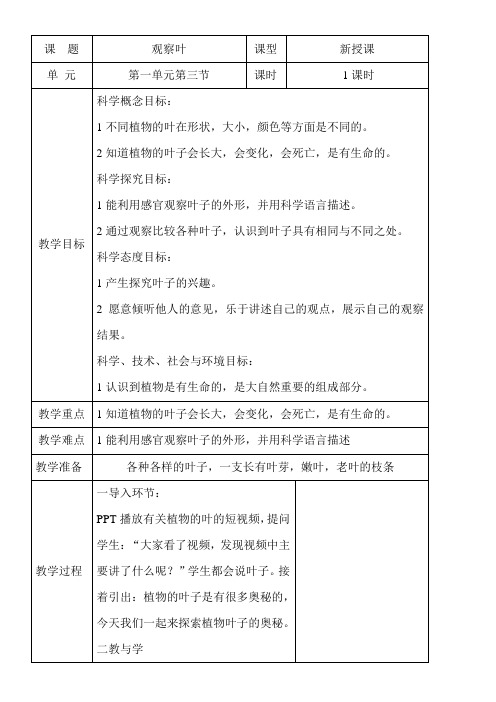 小学科学教科版一年级上册植物3观察叶