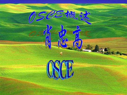 OSCE概述