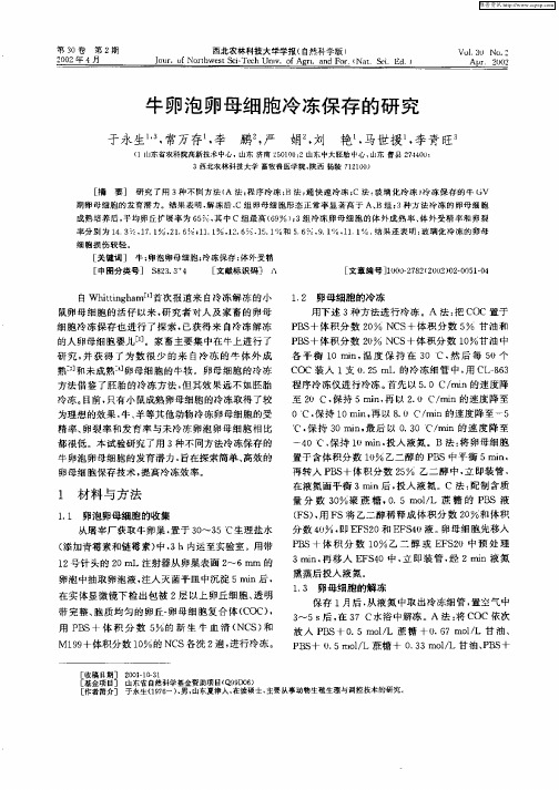 牛卵泡卵母细胞冷冻保存的研究