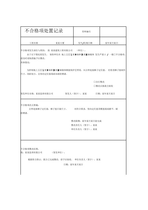 不合格项处置记录