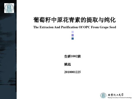 葡萄籽中原花青素(OPC)的提取与纯化