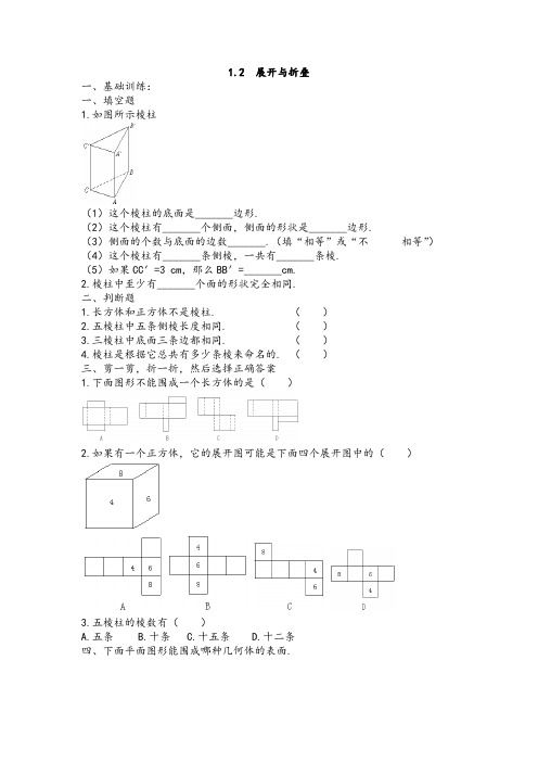 北师大版七年级数学上册展开与折叠同步测试题